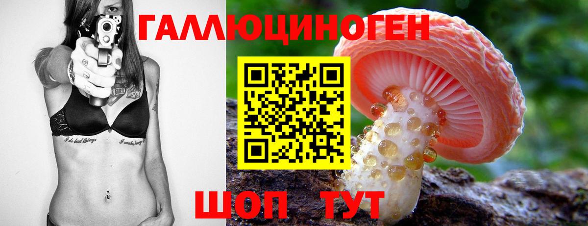 Псилоцибиновые грибы Magic Shrooms  дарнет шоп  Зима  Псилоцибиновые грибы Magic Shrooms  Вход с VPN 